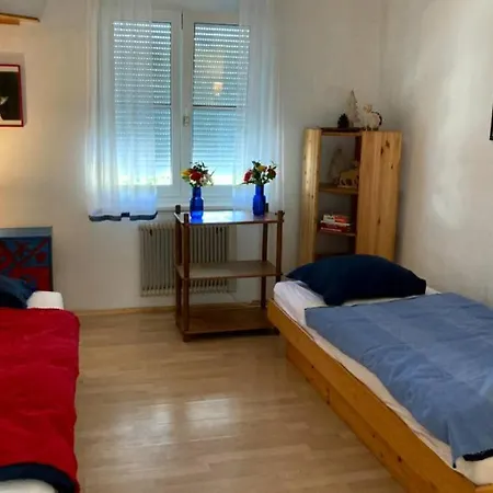 Apartamento Cozy Close To Town, Castle, And Hiking Wolfsberg