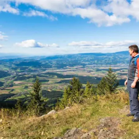 Апартаменты Cozy Close To Town, Castle, And Hiking Вольфсберг