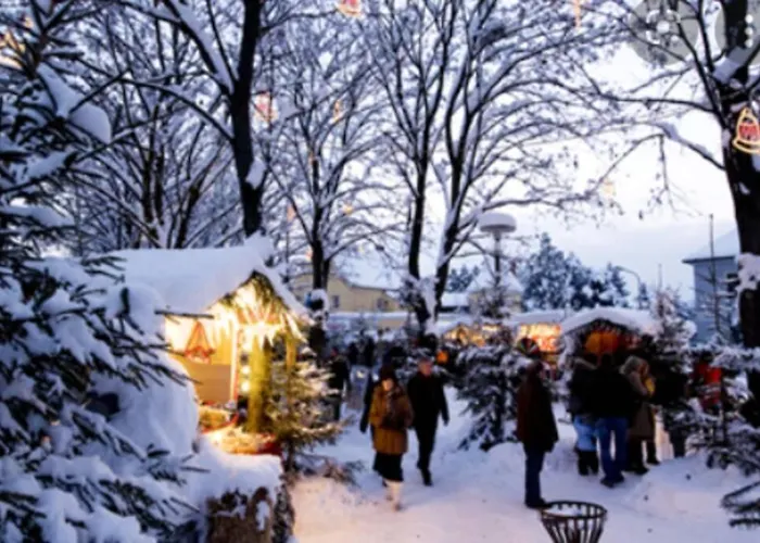 Cozy Close To Town, Castle, Lake&hiking *